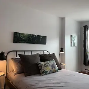 https://le-315b-lappartement-locations-vieux-limoilou.hotelsquebeccity.net